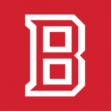 Bradley Braves 2012-Pres Alt on Dark Logo custom vinyl decal
