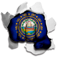 Fist New Hampshire State Flag Logo heat sticker
