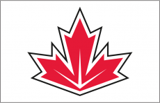 World Cup of Hockey 2016-2017 Jersey 10 Logo custom vinyl decal