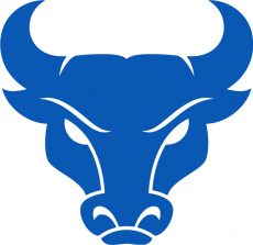Buffalo Bulls 2016-Pres Secondary Logo heat sticker