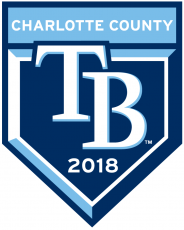 Tampa Bay Rays 2018 Event Logo heat sticker