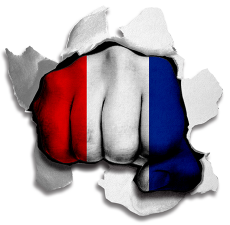 Fist France Flag Logo custom vinyl decal