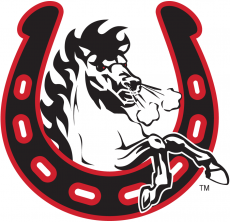 Calgary Stampeders 2003-Pres Alternate Logo heat sticker