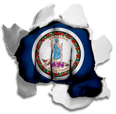 Fist Virginia State Flag Logo heat sticker