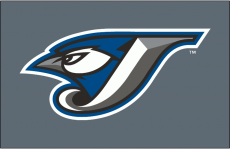 Toronto Blue Jays 2004-2005 Cap Logo heat sticker