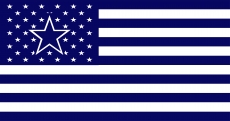 Dallas Cowboys Flag001 logo heat sticker