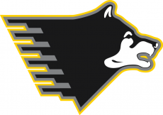 Michigan Tech Huskies 2005-2015 Partial Logo heat sticker