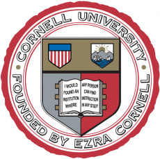Cornell Big Red 1865-Pres Alternate Logo custom vinyl decal