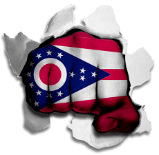 Fist Ohio State Flag Logo heat sticker