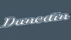 Dunedin Blue Jays 2004-2011 Wordmark Logo 2 heat sticker