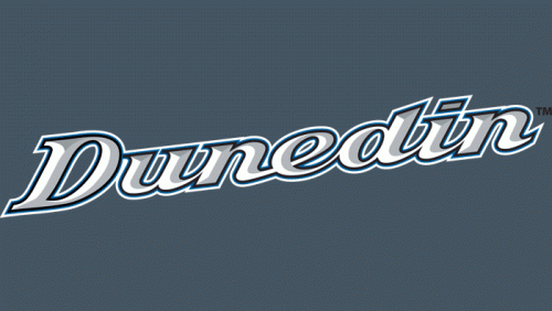 Dunedin Blue Jays 2004-2011 Wordmark Logo 2 heat sticker
