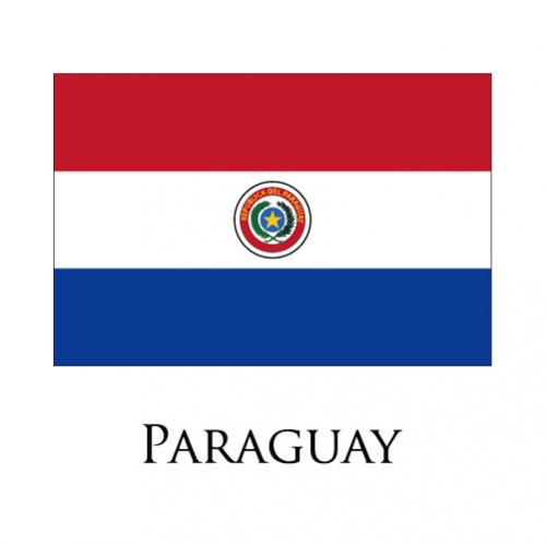 Paraguay flag logo heat sticker