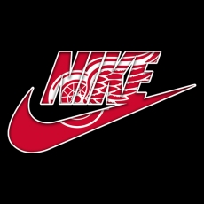 Detroit Red Wings Nike logo heat sticker
