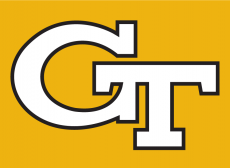 Georgia Tech Yellow Jackets 1991-Pres Alternate Logo heat sticker