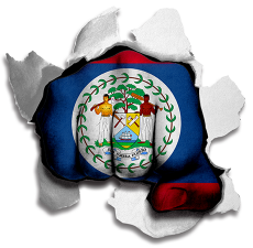Fist Belize Flag Logo heat sticker