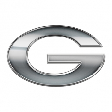 Green Bay Packers Silver Logo heat sticker