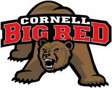 Cornell Big Red 1998-2001 Primary Logo custom vinyl decal
