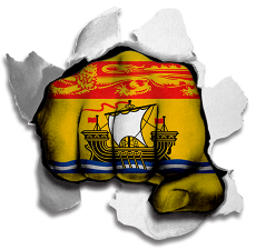 Fist New Brunswick Flag Logo heat sticker
