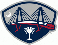 South Carolina Sting Rays 2007 08-Pres Alternate Logo 2 heat sticker