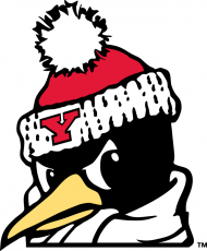 Youngstown State Penguins 1993-Pres Alternate Logo 04 heat sticker