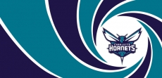 007 Charlotte Hornets logo heat sticker