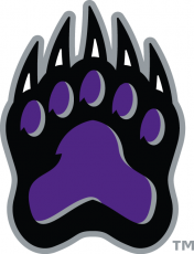 Central Arkansas Bears 2009-Pres Alternate Logo 05 heat sticker