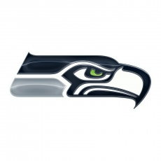 Seattle Seahawks Crystal Logo heat sticker