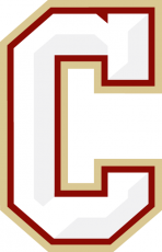 College of Charleston Cougars 2013-Pres Secondary Logo heat sticker