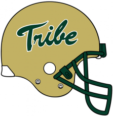 William and Mary Tribe 2009-2015 Helmet Logo heat sticker