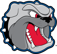 North CarolinaAsheville Bulldogs 1998-Pres Secondary Logo heat sticker