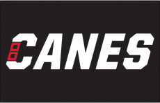 Carolina Hurricanes 2018 19-Pres Wordmark Logo heat sticker