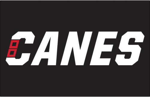 Carolina Hurricanes 2018 19-Pres Wordmark Logo custom vinyl decal