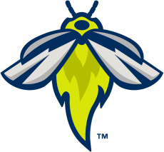 Columbia Fireflies 2016-Pres Secondary Logo heat sticker