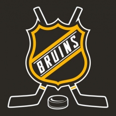 Hockey Boston Bruins Logo heat sticker