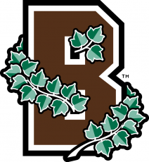 Brown Bears 2003-Pres Alternate Logo custom vinyl decal
