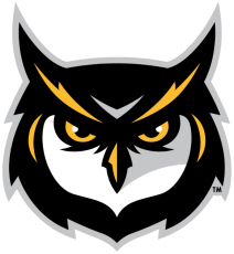 Kennesaw State Owls 2012-Pres Alternate Logo 02 custom vinyl decal