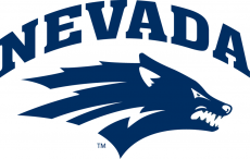Nevada Wolf Pack 2008-Pres Primary Logo heat sticker