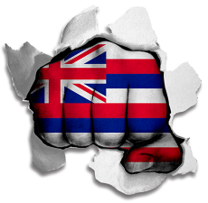 Fist Hawaii State Flag Logo heat sticker