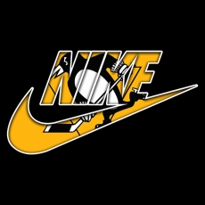 Pittsburgh Penguins Nike logo heat sticker