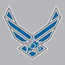 Airforce Detroit Lions logo heat sticker