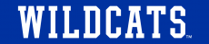 Kentucky Wildcats 2016-Pres Wordmark Logo 04 custom vinyl decal