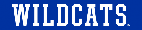 Kentucky Wildcats 2016-Pres Wordmark Logo 04 heat sticker