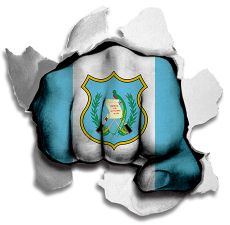 Fist Guatemala Flag Logo custom vinyl decal