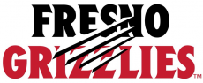 Fresno Grizzlies 2019-Pres Wordmark Logo heat sticker