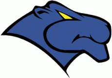 Georgia State Panthers 1997-2001 Primary Logo heat sticker