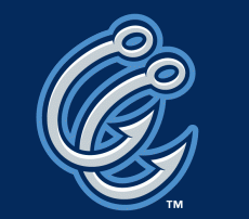 Corpus Christi Hooks 2005-Pres Cap Logo 2 heat sticker