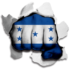 Fist Honduras Flag Logo custom vinyl decal