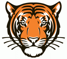 Princeton Tigers 2003-Pres Alternate Logo 01 heat sticker