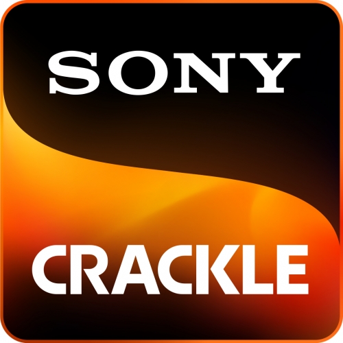 Sony brand logo 02 heat sticker