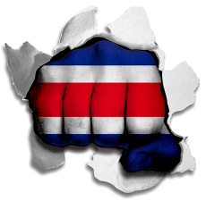 Fist Costa Rica Flag Logo custom vinyl decal